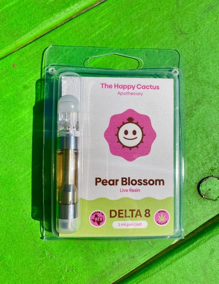 Images The Happy Cactus