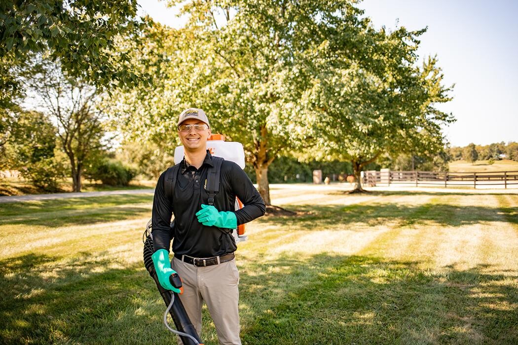 Images Mosquito Hero