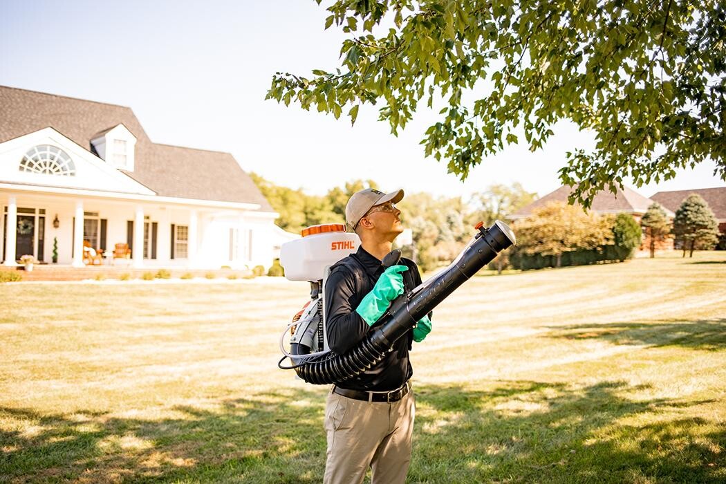 Images Mosquito Hero