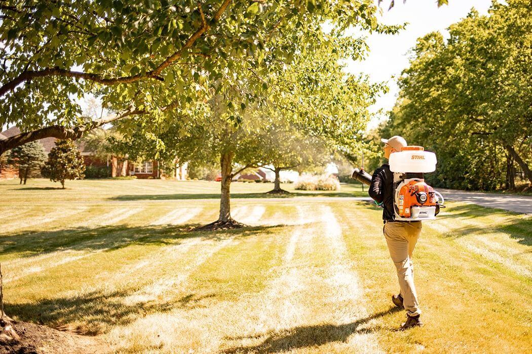 Images Mosquito Hero