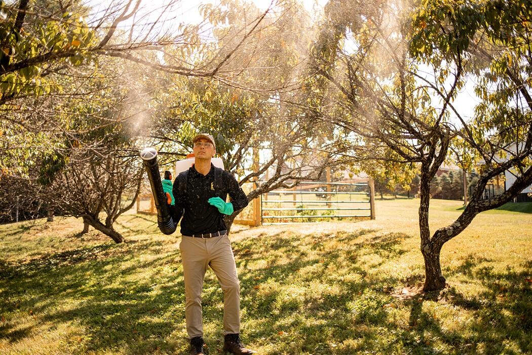 Images Mosquito Hero