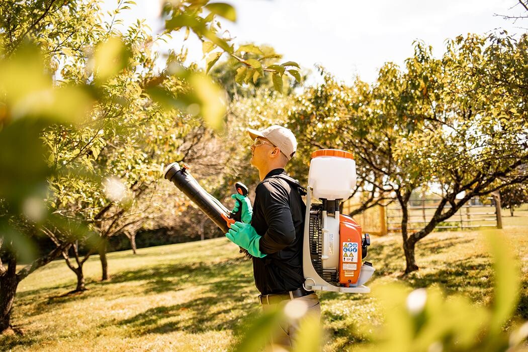 Images Mosquito Hero