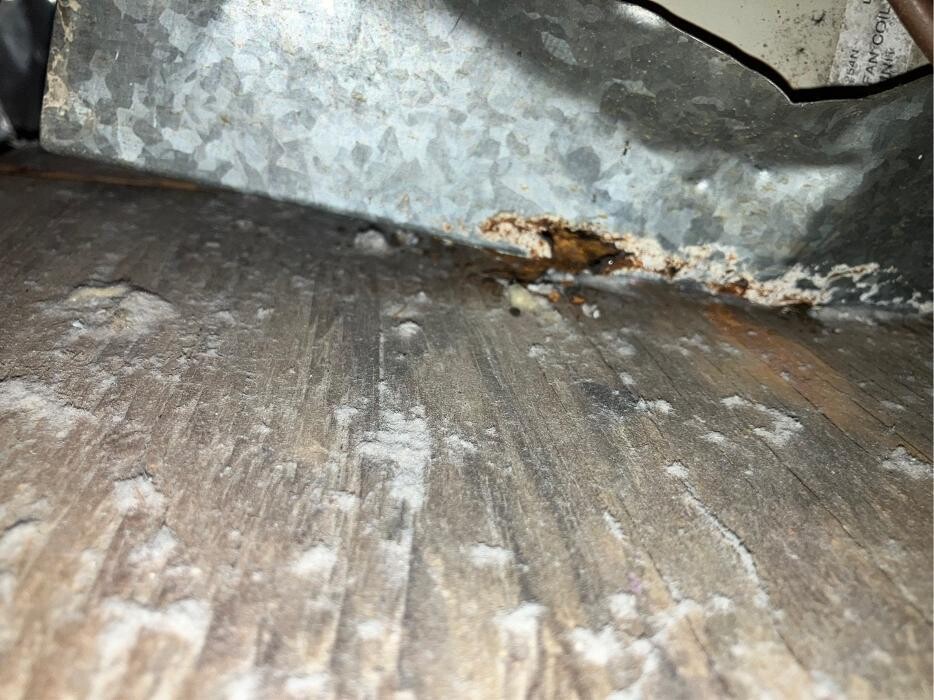 Images Art Newsome, Inc.