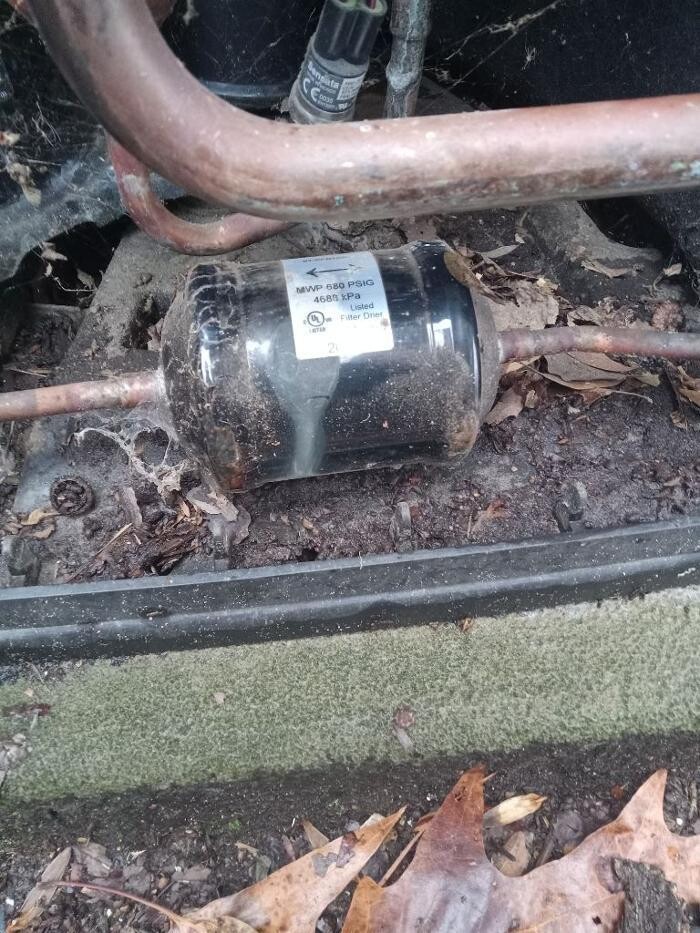 Images Art Newsome, Inc.