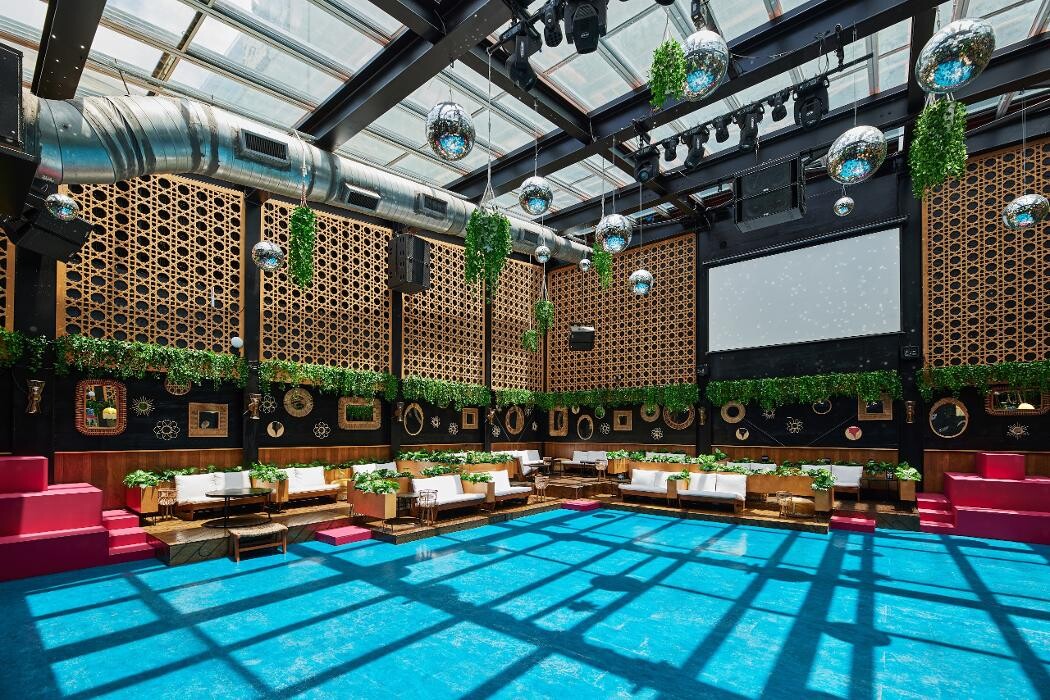 Images Blackbird Ordinary