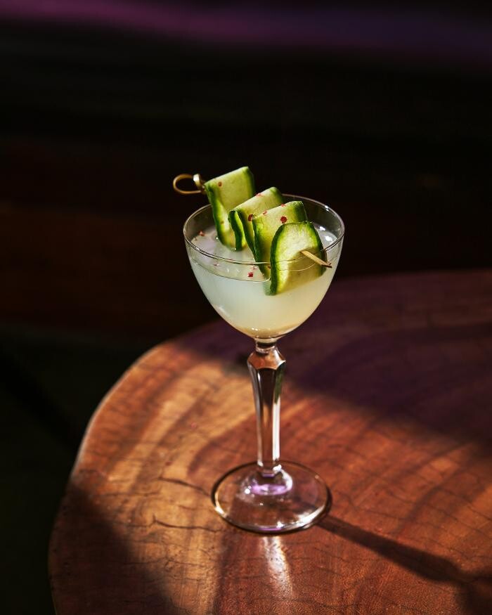 Images Blackbird Ordinary