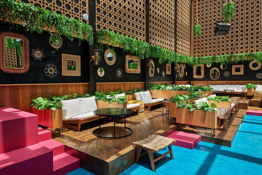 Images Blackbird Ordinary