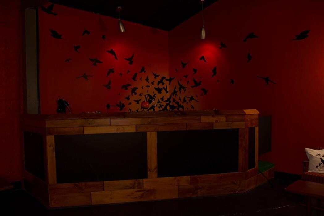 Images Blackbird Ordinary