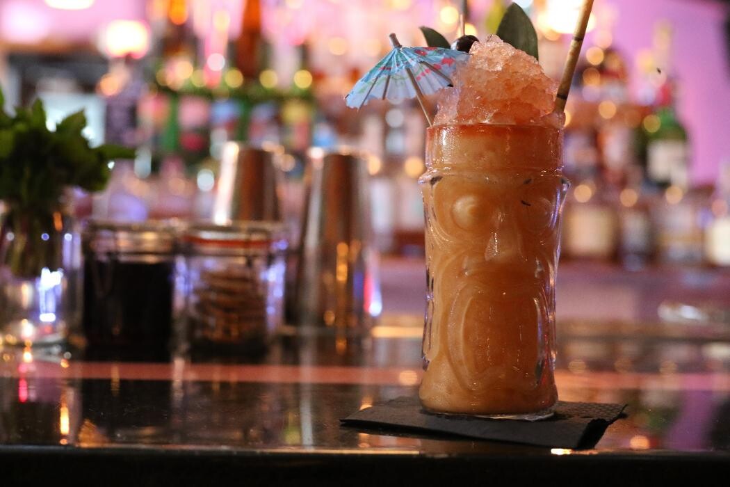 Images Blackbird Ordinary