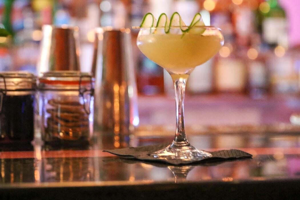 Images Blackbird Ordinary