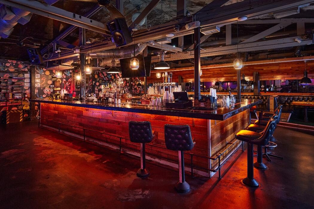 Images Blackbird Ordinary