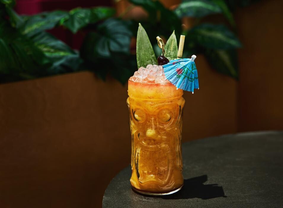 Images Blackbird Ordinary