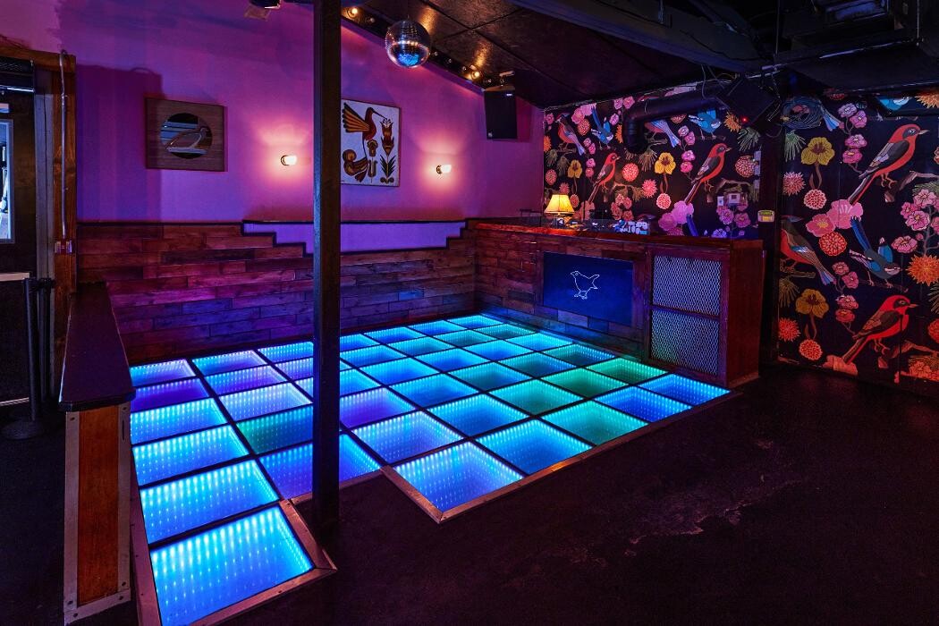 Images Blackbird Ordinary