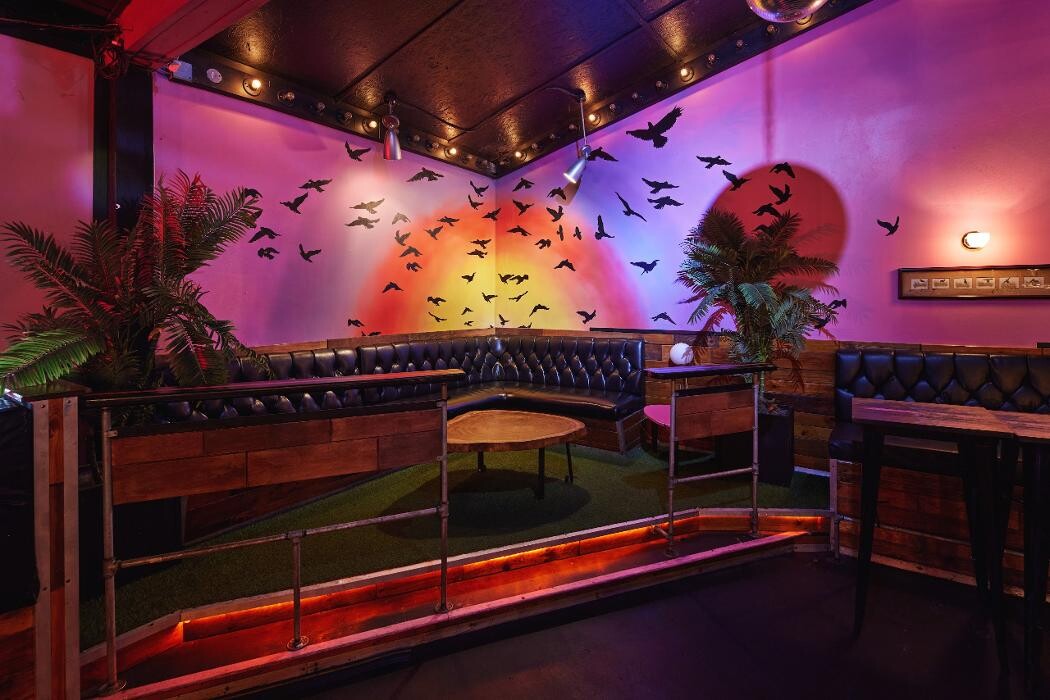 Images Blackbird Ordinary