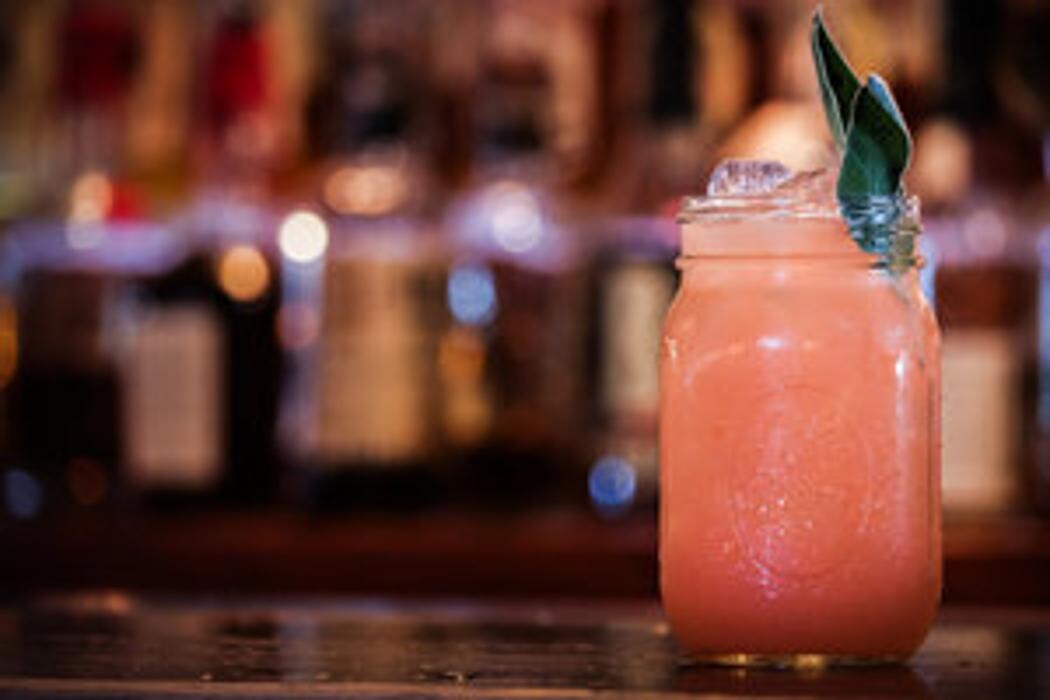 Images Blackbird Ordinary