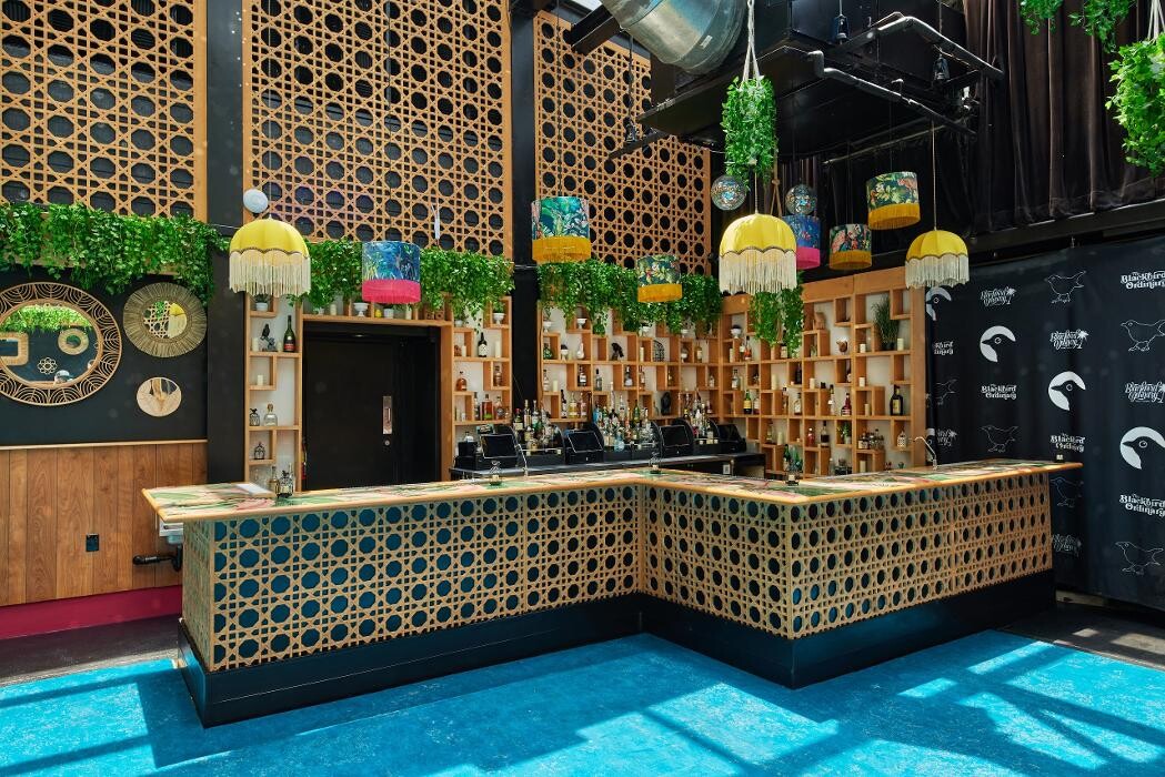 Images Blackbird Ordinary