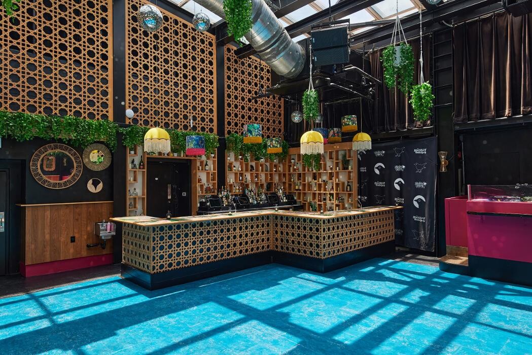 Images Blackbird Ordinary