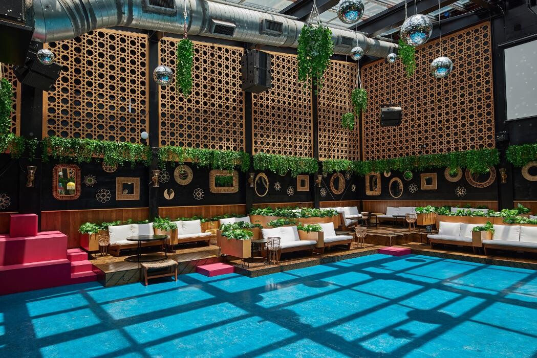 Images Blackbird Ordinary