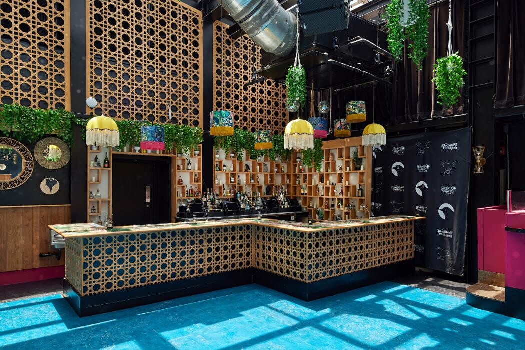 Images Blackbird Ordinary