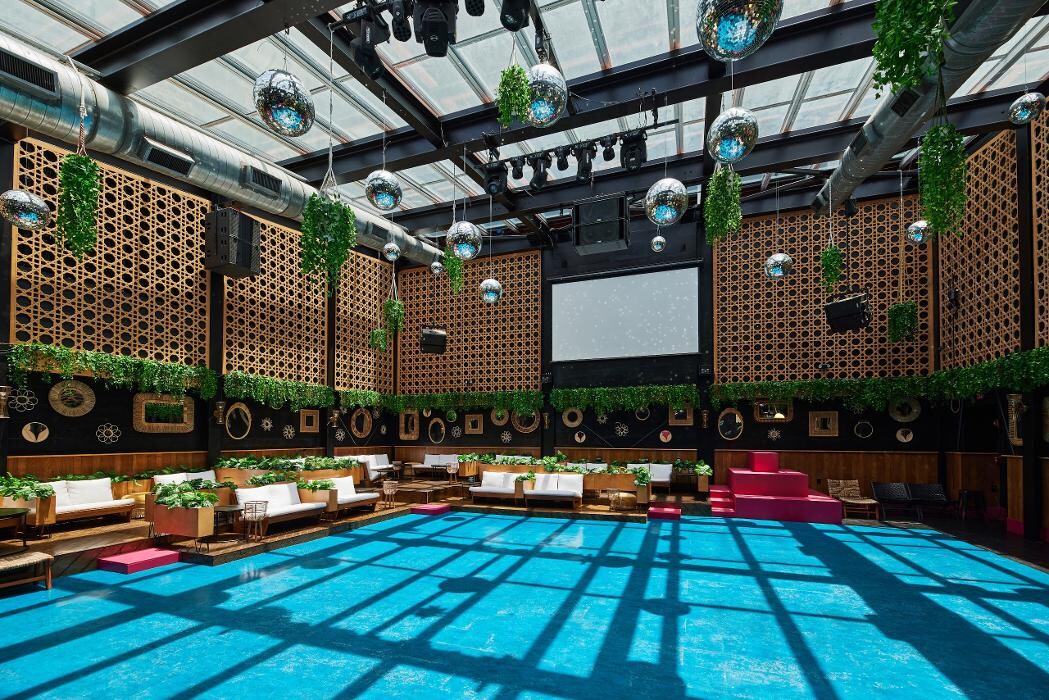 Images Blackbird Ordinary