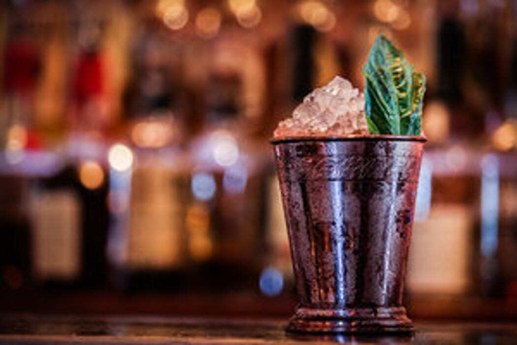 Images Blackbird Ordinary