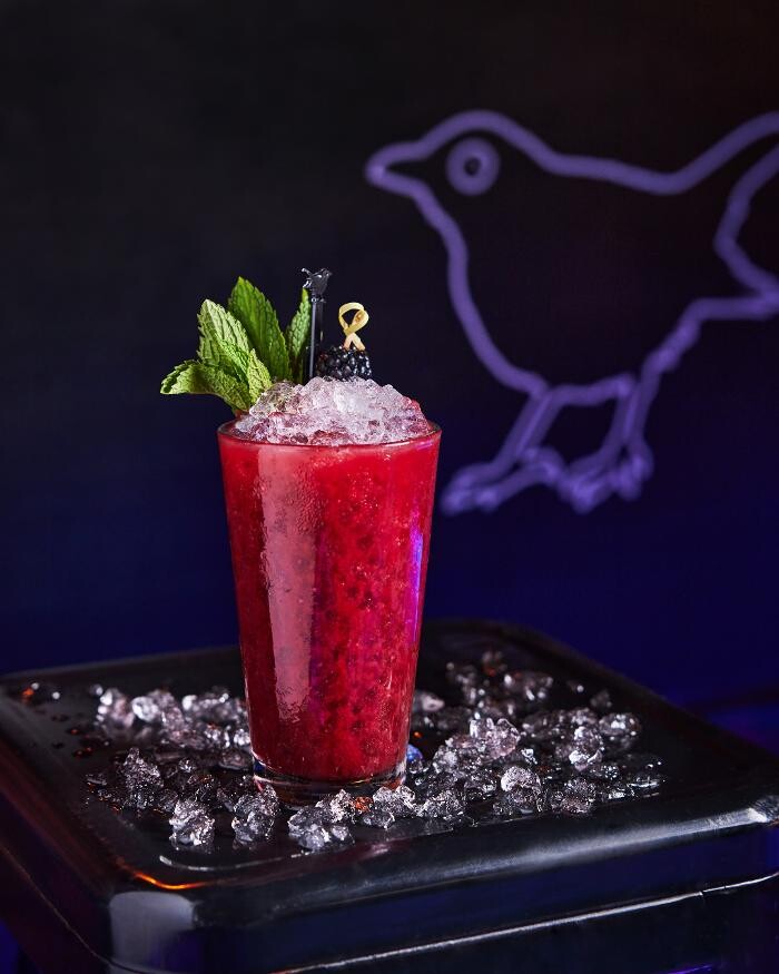 Images Blackbird Ordinary