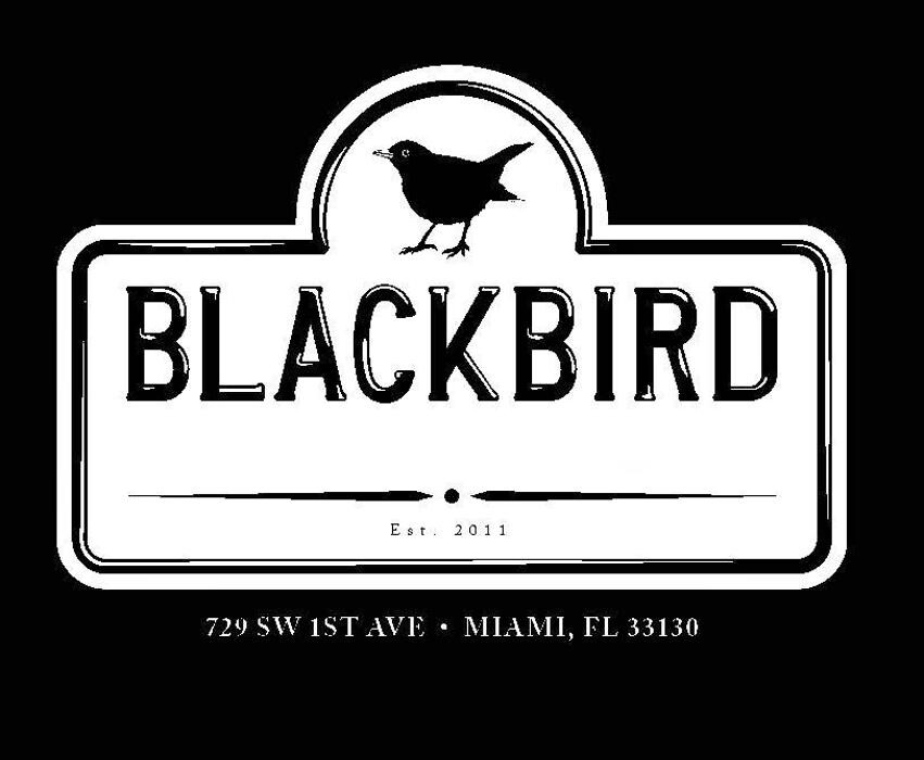 Images Blackbird Ordinary