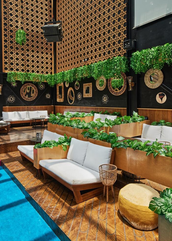 Images Blackbird Ordinary