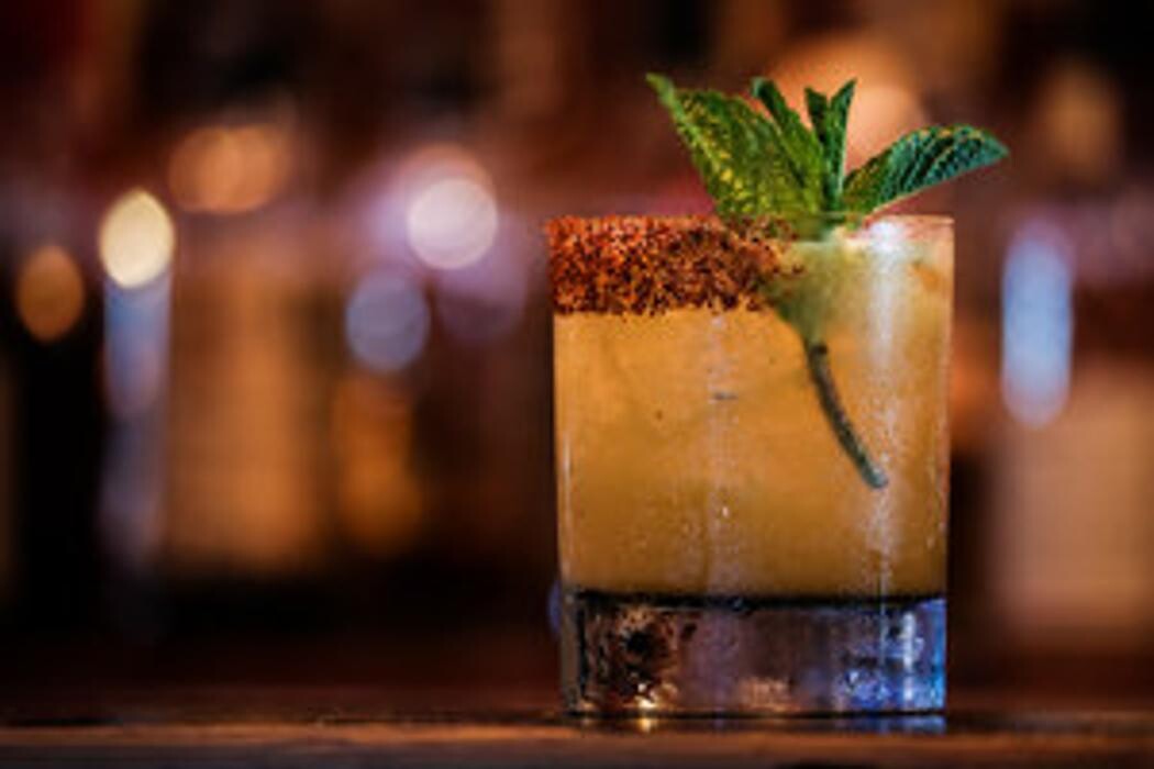 Images Blackbird Ordinary