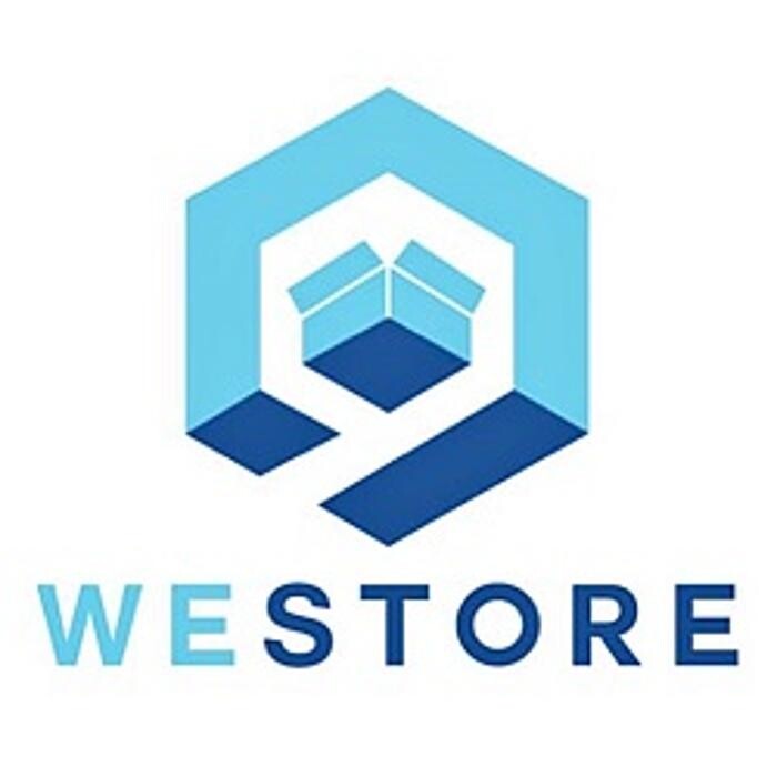 We-Store Mini Storage Logo