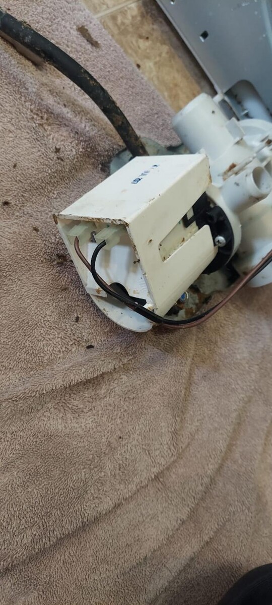 Images Denver's Best Appliance Repair