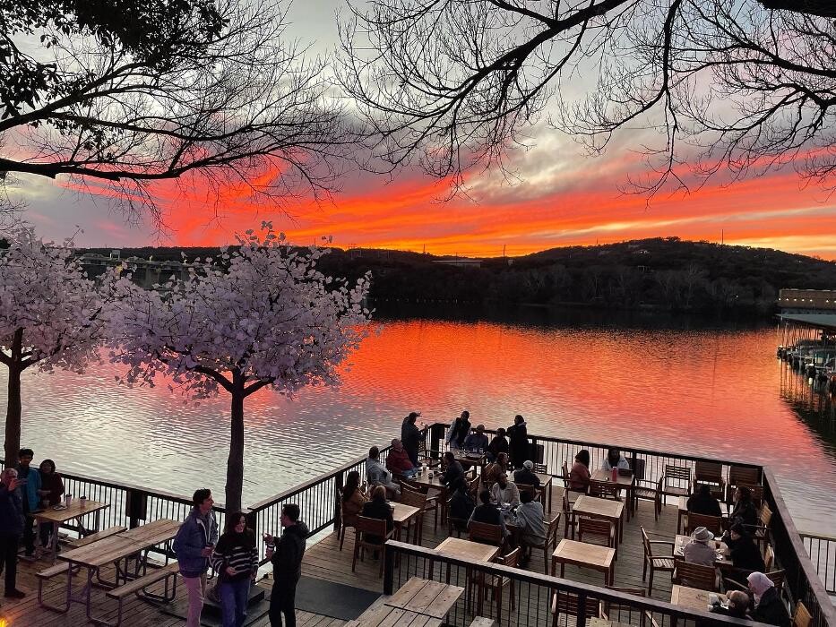 Images Mozart's Coffee Roasters