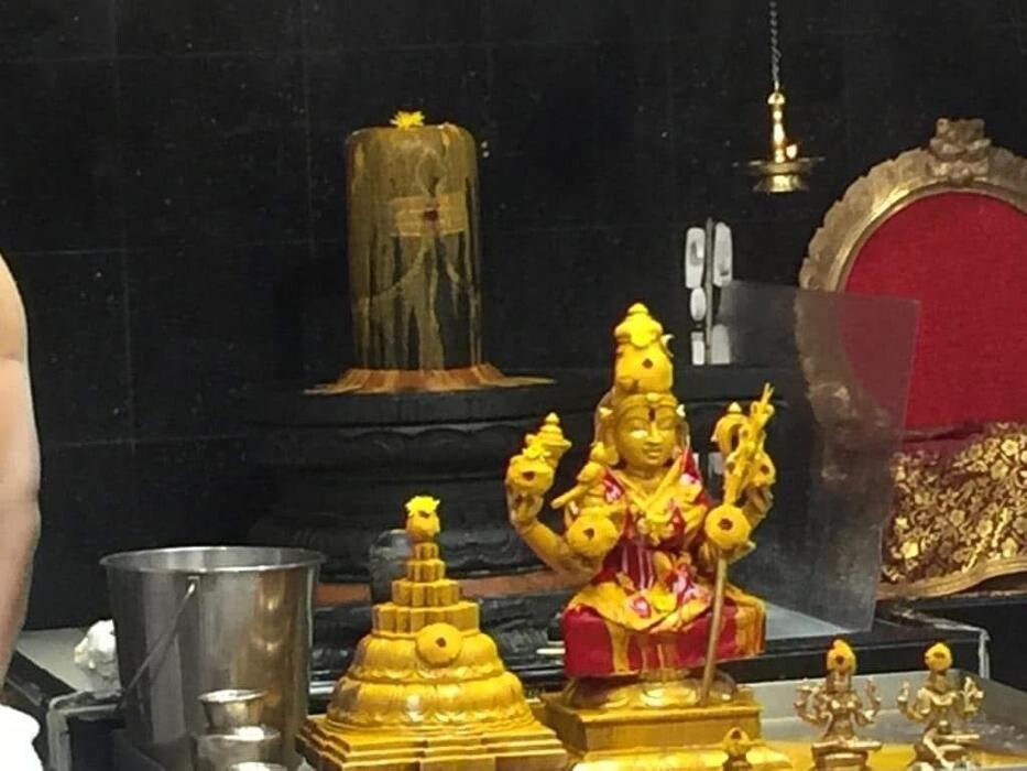 Images Indian Astrologer & Psychic