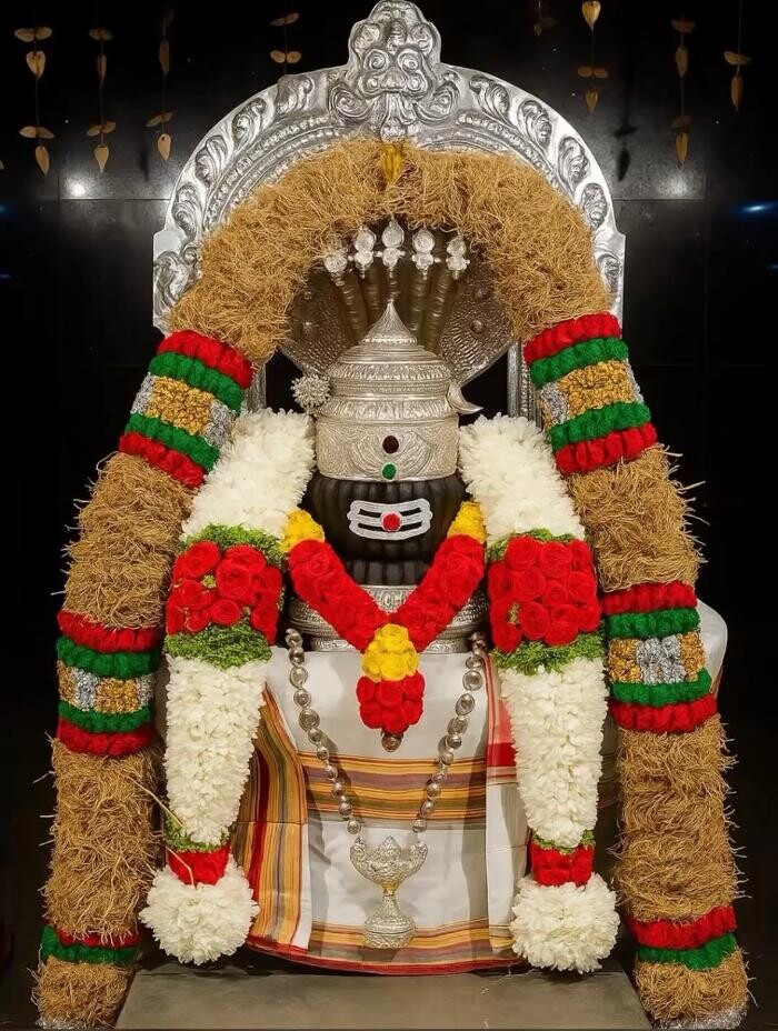 Images Indian Astrologer & Psychic