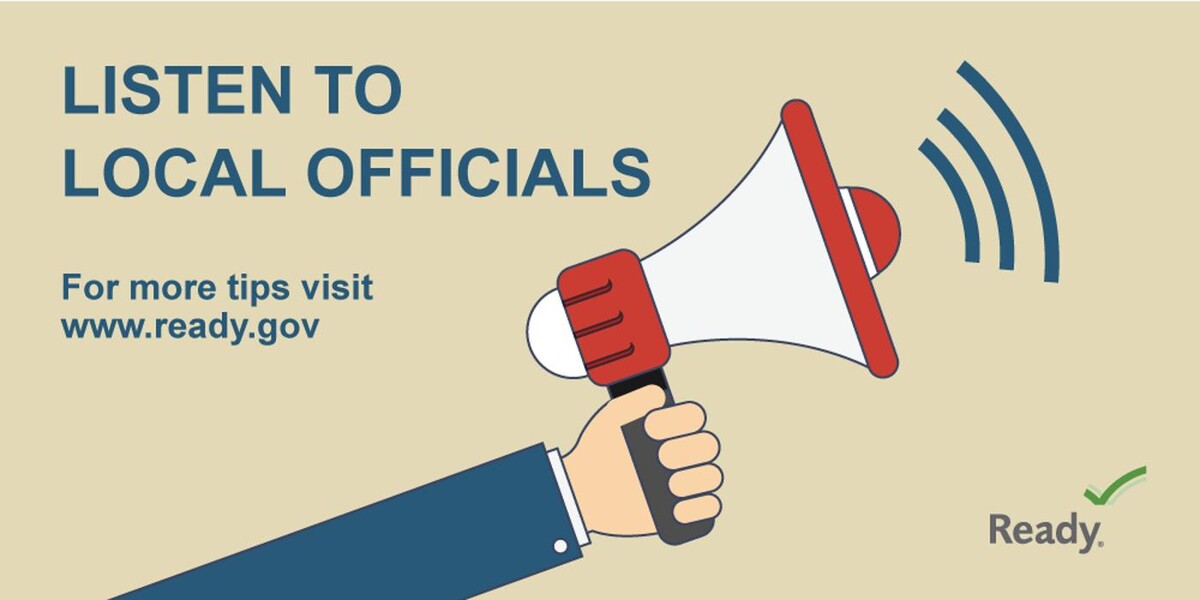 Images Jt Wholesale Auto, Inc.