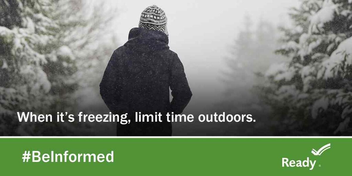 Images Jt Wholesale Auto, Inc.