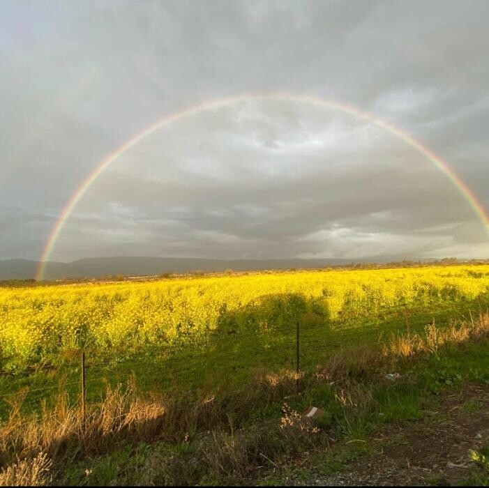 Images ameriCARE Silicon Valley