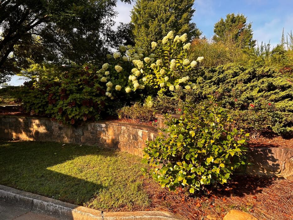 Images Legendary Landscaping Inc.