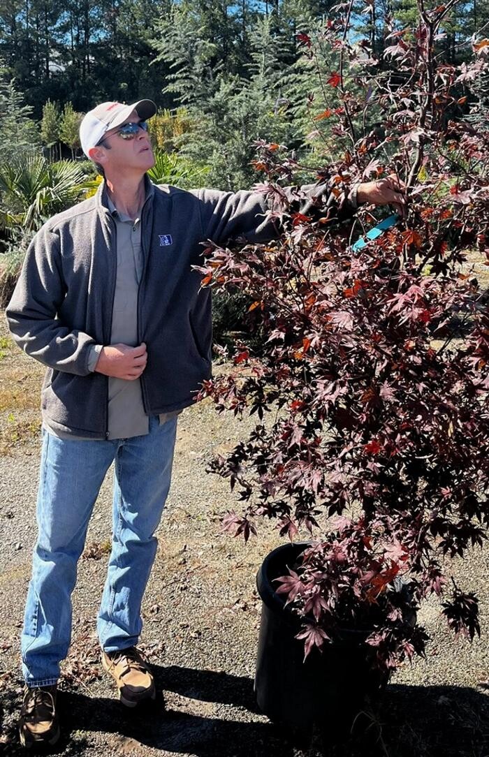 Images Legendary Landscaping Inc.