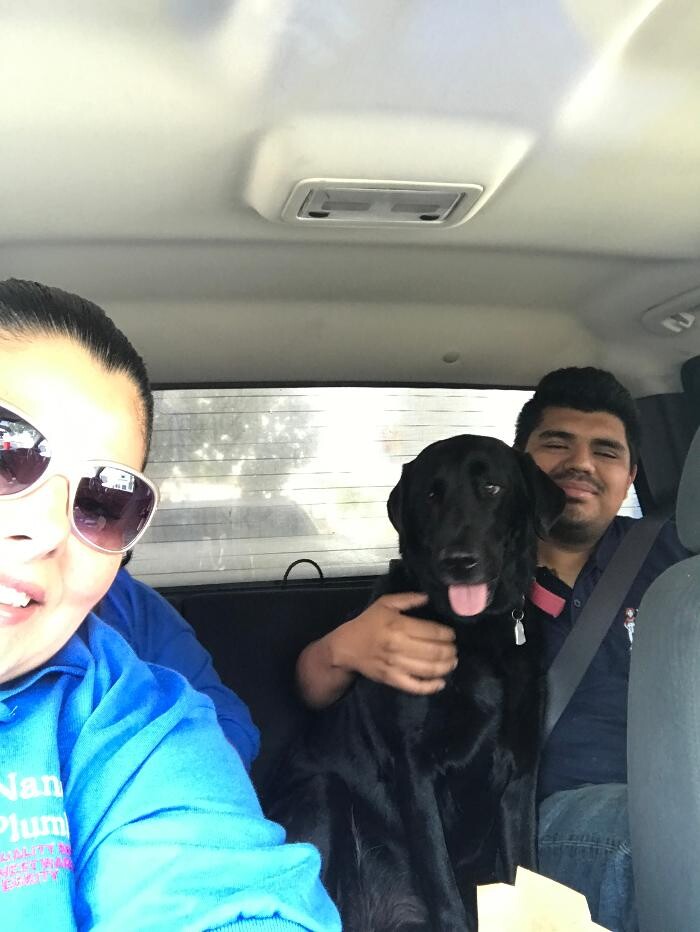 Images Nancy's Plumbing