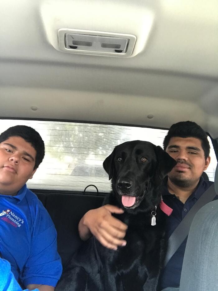 Images Nancy's Plumbing