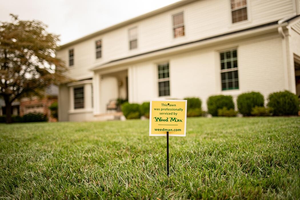 Images Weed Man Lawn Care