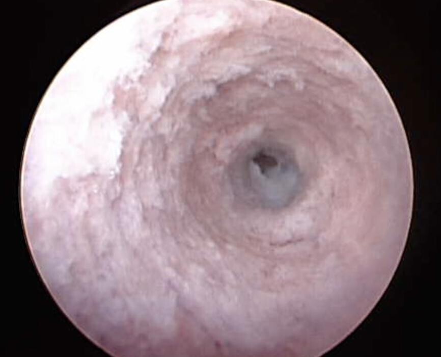 Images Progressive Spine & Orthopaedics - Dr Kris Radcliff - Somers Point