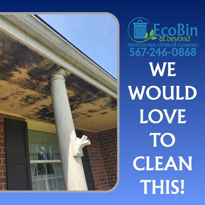 Images EcoBin & Beyond