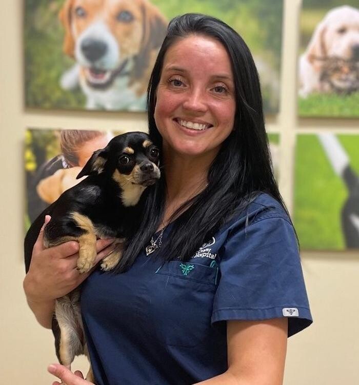 Images Towne Center Animal Hospital and Pet Hotel