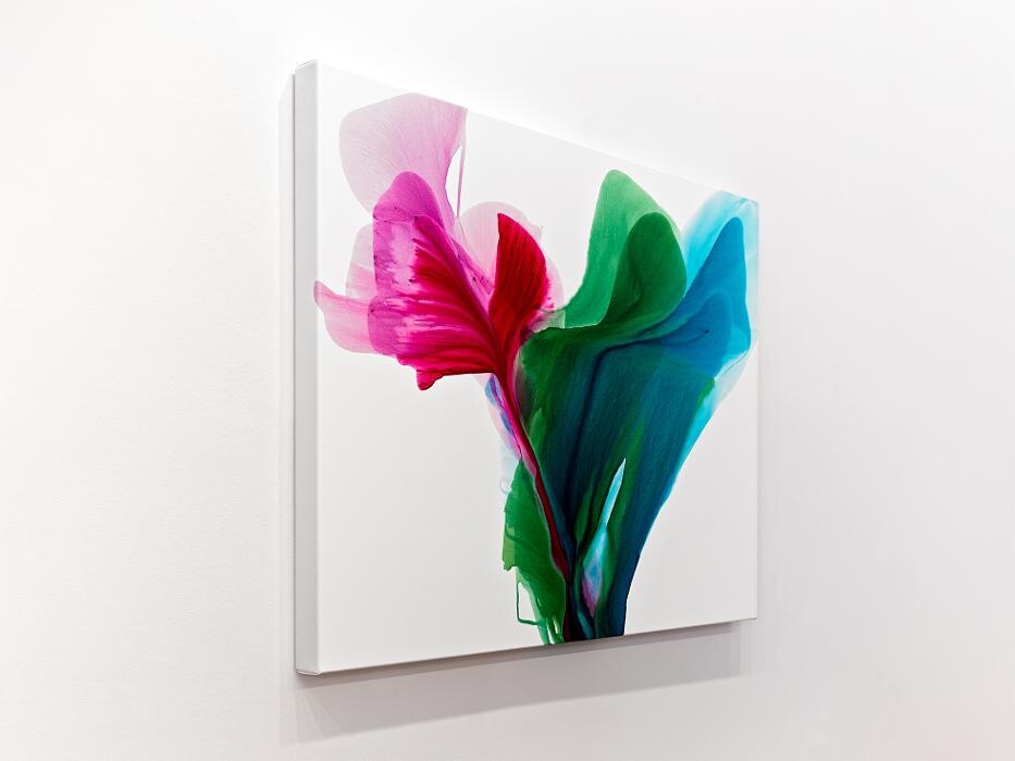 Images Hang Steady Custom Picture Framing