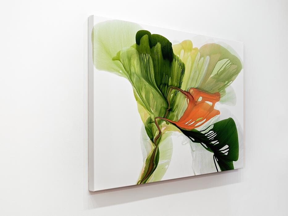 Images Hang Steady Custom Picture Framing