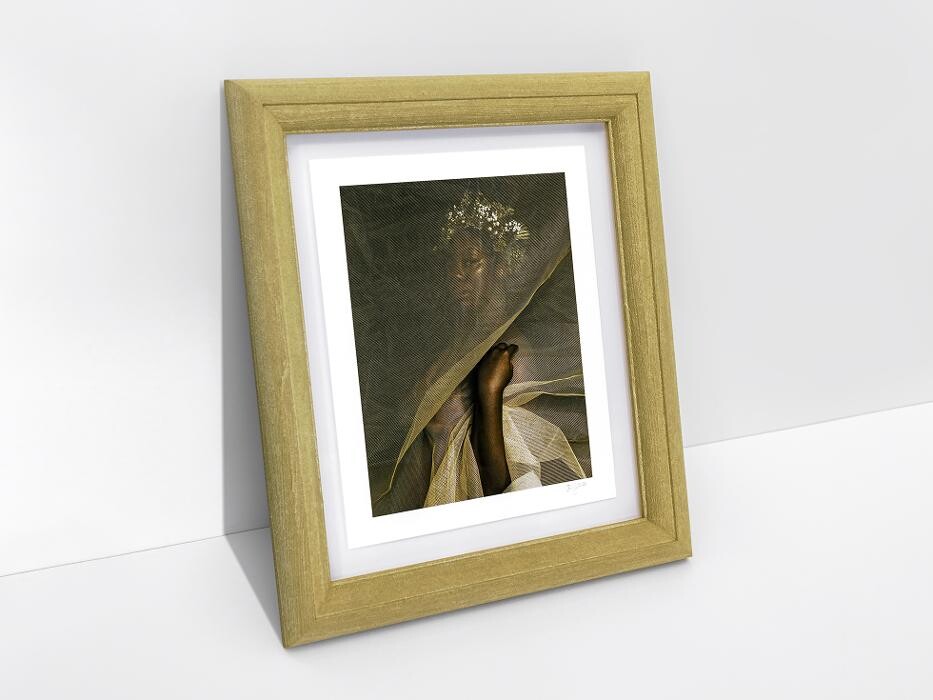 Images Hang Steady Custom Picture Framing