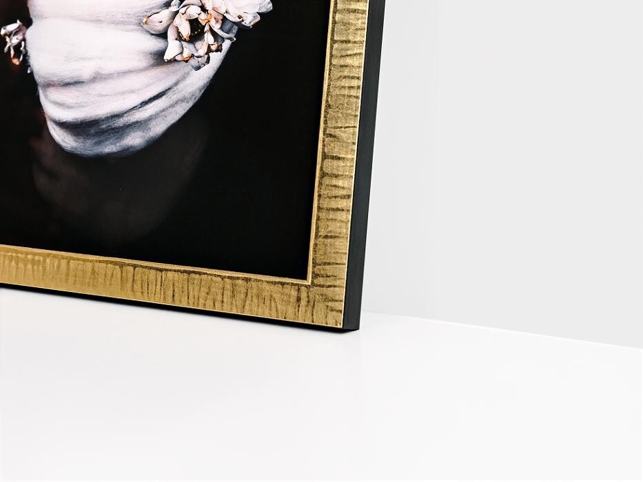 Images Hang Steady Custom Picture Framing