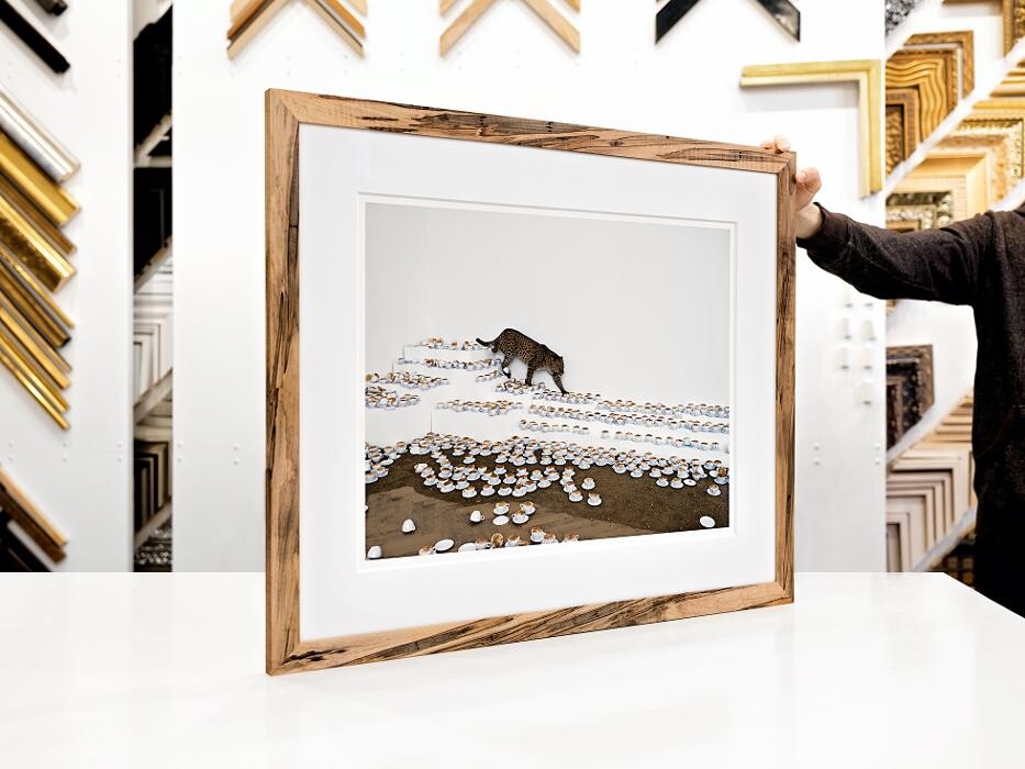 Images Hang Steady Custom Picture Framing